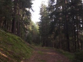 Rundweg Dachlstein mit Mariensitz, © Marktgemeinde St. Martin