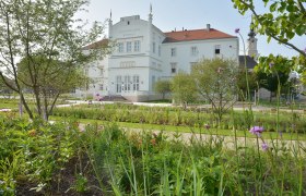 Klostergarten, © Stadtgemeinde Tulln