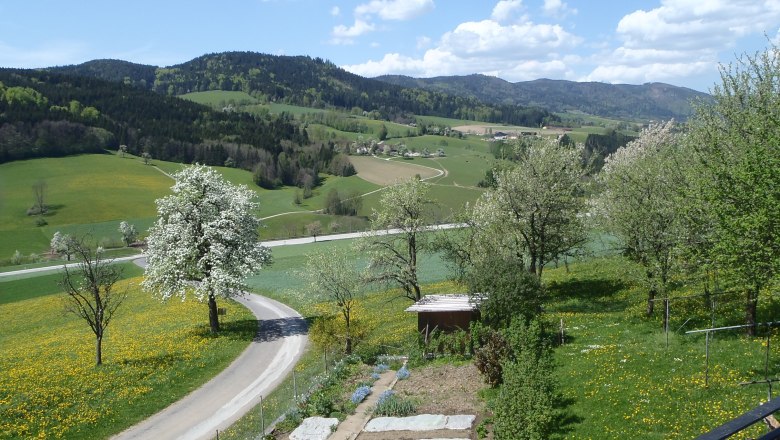 Blick vom Balkon im Frühling, Yspertal, © Fam. Schauer-Zeitlhofer