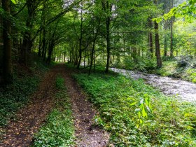 Weg neben dem Weitenbach, © Gottfried Grossinger