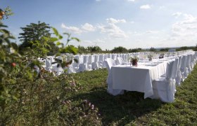 Tafeln im Weinviertel, © Weinviertel Tourismus GmbH / Wurnig