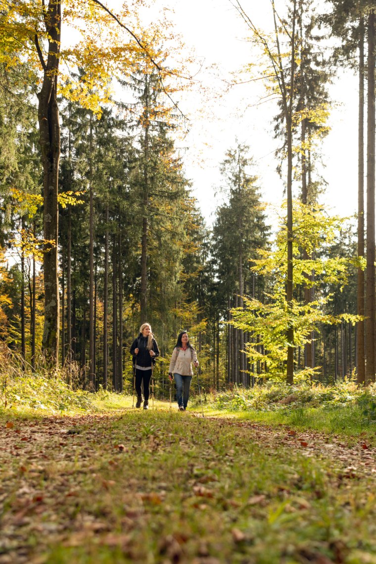 Wanderer gehen auf Waldweg.