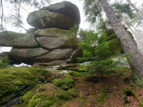 Sidestep Felsengarten, © © Matthias Schickhofer