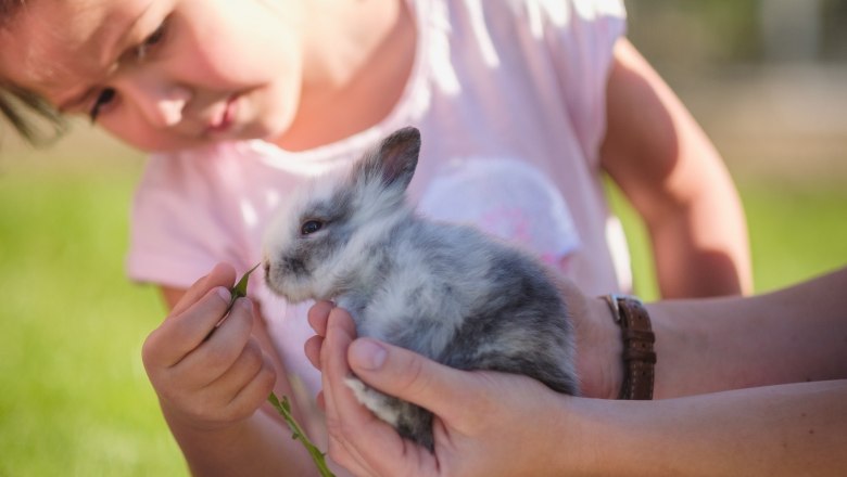 Fütterung Hase, © Die Hochriess-Distelberger GmbH & Co.KG