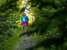 Waldweg zum Hutwisch, © Wiener Alpen