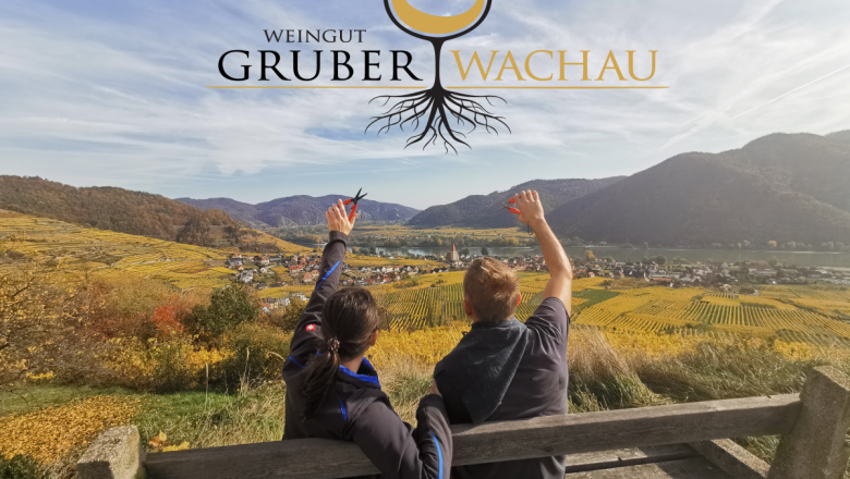 Ausblick in die Weingärten, © Weingut Gruber