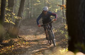 MTB Wienerwald, © Wienerwald Tourismus GmbH / Markus Frühmann