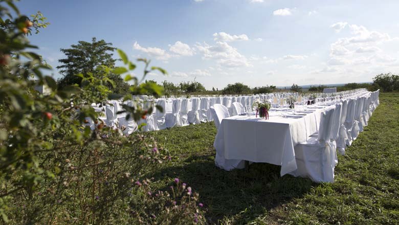 Tafeln im Weinviertel, © Weinviertel Tourismus GmbH / Wurnig