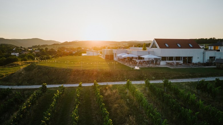 Weingut, Heuriger und Refugium., © Weingut & Weinblick Grafinger