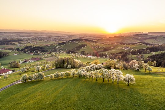 Beziehungsstatus: Verliebt in den Frühling!, © Robert Herbst