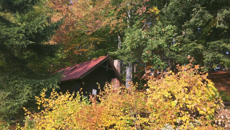 waldschule_herbst_klein_c_marcus-zuba, © Marcus Zuba