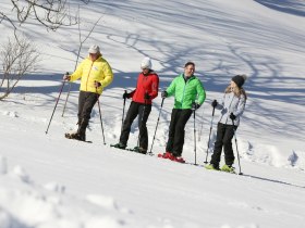 Schneeschuhwandern in Lackenhof, © schwarz-koenig.at