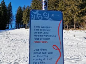 Winterwanderung auf den Arabichl, © Wiener Alpen in Niederösterreich