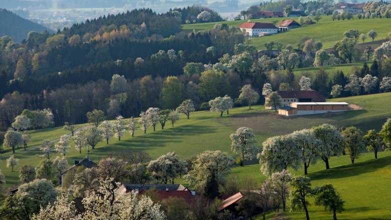 Fotopunkt Sanfte Hügel, © schwarz-koenig.at