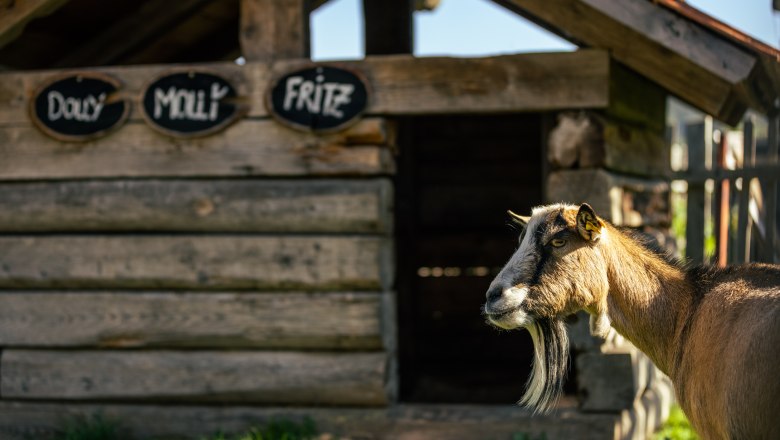 Ziegenstall, © Wiener Alpen - Martin Fülöp