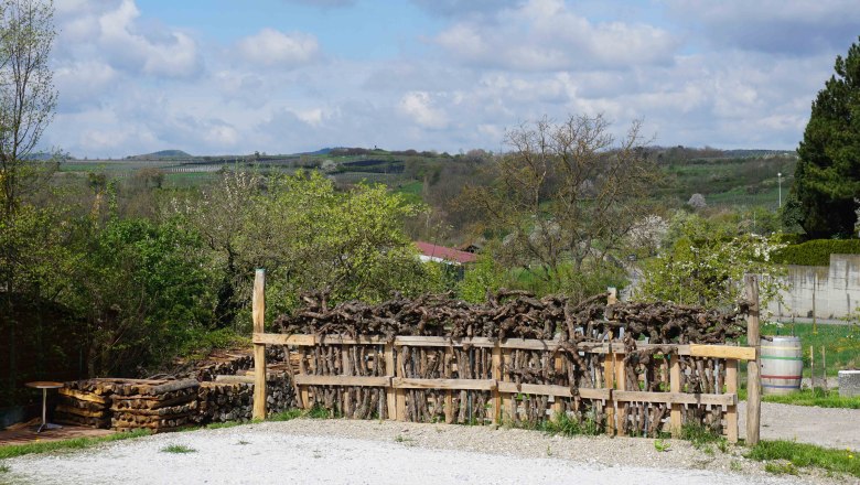 Stellplatz beim Weingut Czipin, © Familie Czipin