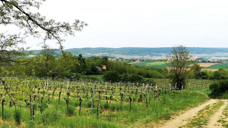 Feldberg bei Roggendorf, © Weinstraße Weinviertel