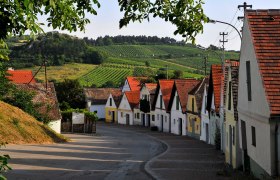 Kellergasse Oagossn in Falkenstein, © Weinviertel Tourismus / Mandl