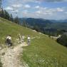 Wandern am Ötscher, © zVg