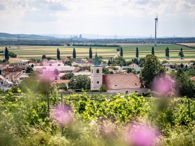 Blick auf Stixneusiedl, © Donau Niederösterreich - Tourismusbüro Carnuntum-Marchfeld