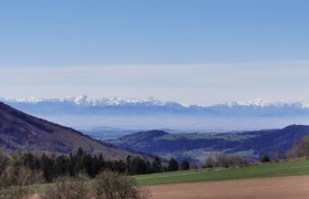 Fernsicht entlang der Wanderung zum Hirschenstein bei Gutenbrunn, © Gemeinde Gutenbrunn