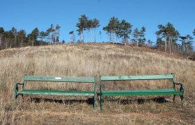 Winzendorf Rundwanderweg 2, Rund um den Blosen Berg, © Wiener Alpen in Niederösterreich - Schneeberg Hohe Wand