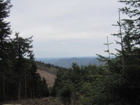 Waldwanderung mit Aussicht, © Naturpark Jauerling-Wachau