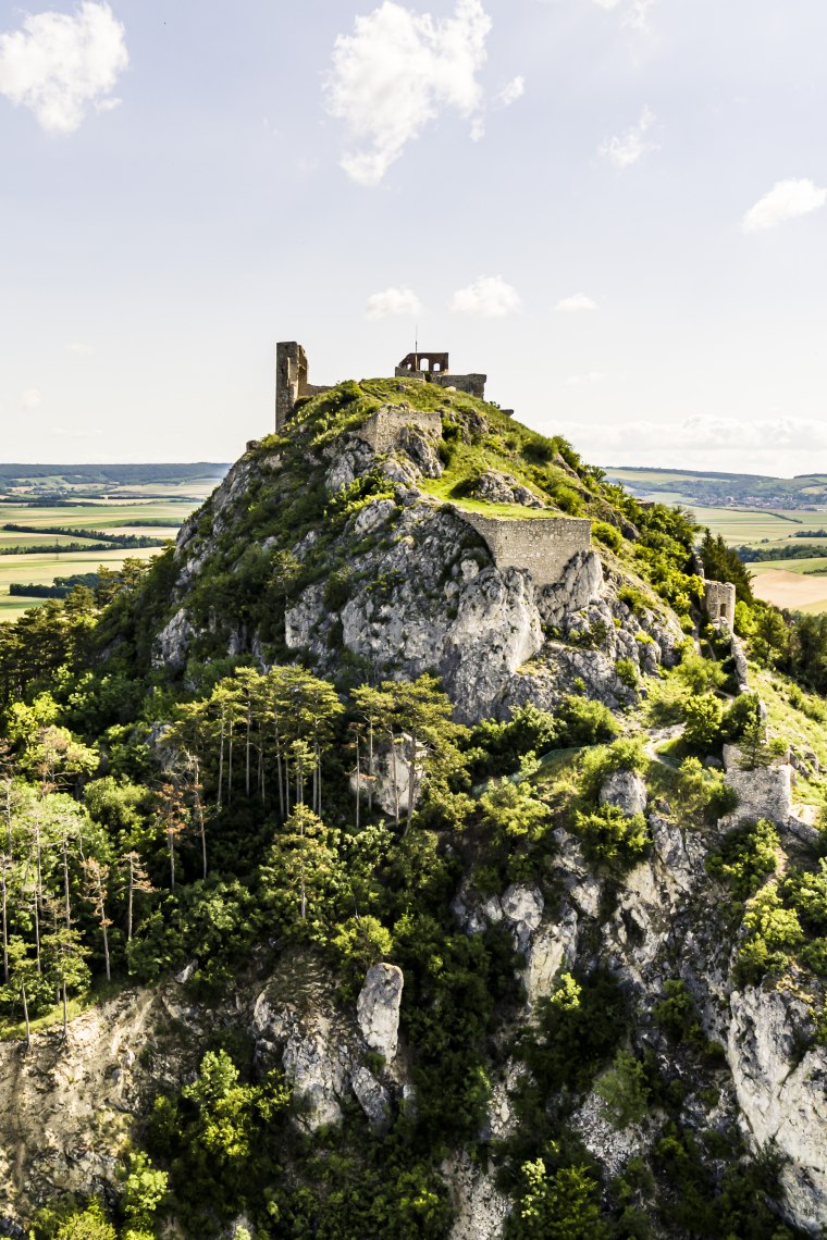 Ruine auf einem mit Bäumen bedeckten Felsen.