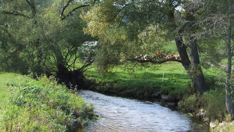 Landschaft um den Bio-Bauernhof Höbarth, © Peter Höbarth