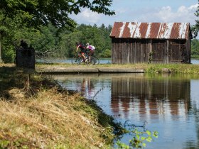 MTB Waldviertel, © Waldviertel Tourismus, Erwin Haiden, nyx.at