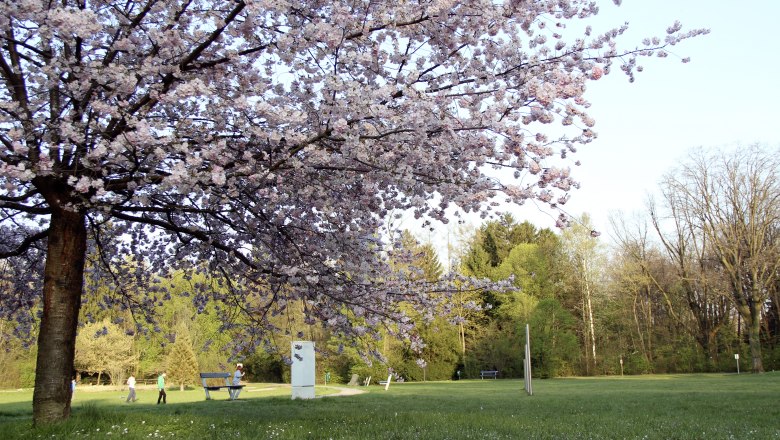 Stadtpark Neunkirchen, © Stadtgemeinde Neunkirchen