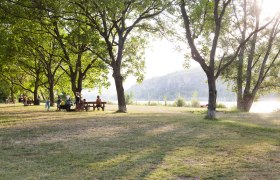 Menschen entspannen im Schatten von Bäumen an einem sonnigen Flussufer., © Donau NÖ Tourismus_Barbara Elser