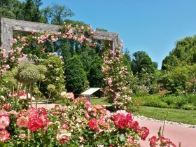 DIE GARTEN TULLN © Donau Niederösterreich, © Donau Niederösterreich