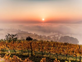 Oberhalb von Krems im Herbst, © Robert Herbst