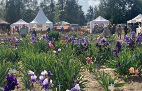 Garten- und Kunsthandwerksfest, © Oberleitner Gartenkultur