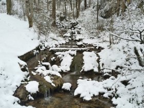 Bach durch den Naturpark, © Marktgemeinde Schwarzau