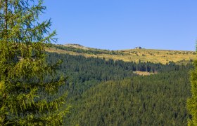 Blick von Aspangberg-St. Peter auf den Hochwechsel, © Wiener Alpen in Niederösterreich - Wechsel