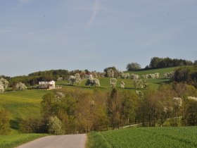 Wandern rund um Biberbach, © Brigitte Hofschwaiger