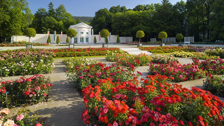 Badener Rosarium/Orangerie, © Rainer Mirau