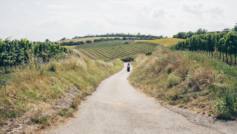 Winzerin spaziert durch Weinlandschaft