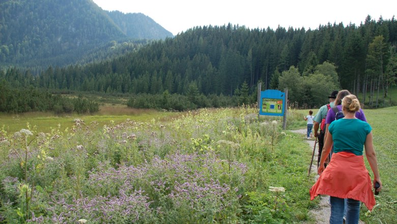 Das Leckermoor auf Hochreit, © fotosoos.at