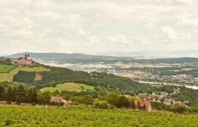 Nibelungengau im Sommer, © Klaus Engelmayer