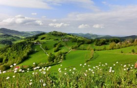 Ausblick "Stuben", © Mostviertel