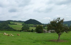 Blick vom Fuchsbauer zur Ruine St. Pankraz, © Wienerwald