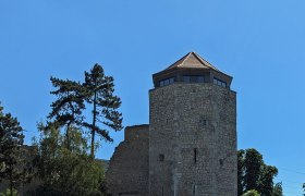 Mittelalterlicher Steinturm mit modernem Dach, umgeben von Bäumen., © Donau Niederösterreich, Daniela Wagner