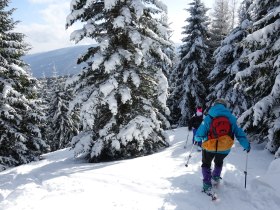 Scheeschuhwandern am Semmering, © Wolfgang Menzel/Teamwandern