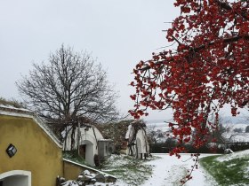 Kellerviertel Edelstal, © Donau Niederösterreich, Margit Neubauer