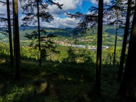 Im Wald - Blick auf Würnsdorf, © Gottfried Grossinger