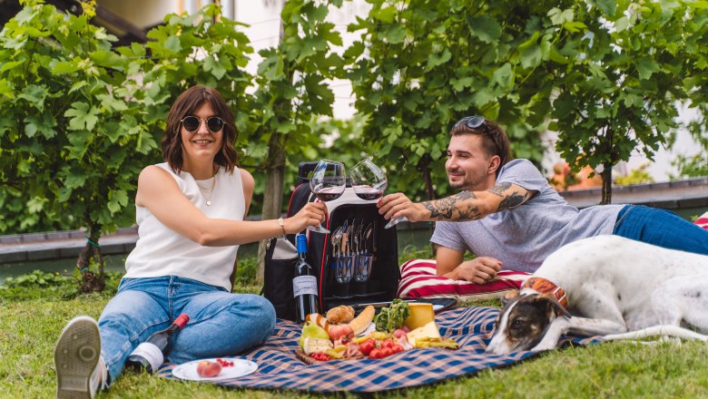 Picknicktime, © Winzerhof Landauer-Gisperg