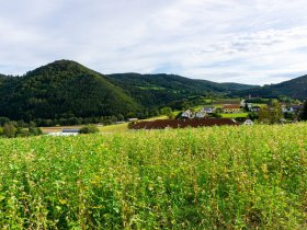 Blick zu Mandlgupf, Hinterberg und St. Anna Kirche, © Gottfried Grossinger